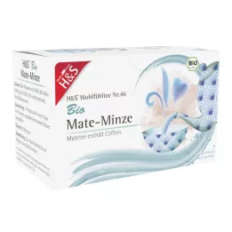 H&amp;S Organic Mate-Mint Filterzakje, 20X1,8 g