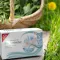 H&S biologische nuchtere theefilterzakjes, 20X1,5 g