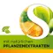Dobensana Kruidenhoning Vitaminen C &amp; Zinkpastil.(16 stuks)
