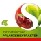 DOBENSANA Kruiden Kersenpasta Vit.C & Zinkpasta, 36 st
