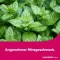 LINGUMELT acute orodispergeerbare tabletten, 6 stuks