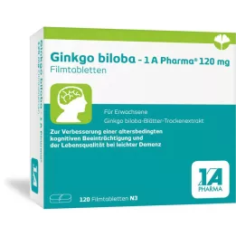 GINKGO BILOBA-1A Pharma 120 mg Filmomhulde Tabletten, 120 Capsules