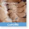 CAPSTAR 11,4 mg tabletten voor katten/kleine honden, 1st