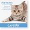 CAPSTAR 11,4 mg tabletten voor katten/kleine honden, 1st