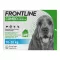 FRONTLINE Combo Spot on Dog M Lsg.voor.toepassing.op.de.huid, 3 stuks