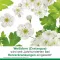 cratae-Loges 450 mg meidoorn filmomhulde tabletten, 100 stuks