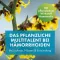 FAKTU lind aambeienzalf, 25 g