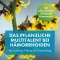 FAKTU lind aambeien zetpillen, 10 stuks