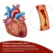 BEH Artery+ Capsules, 90 stuks