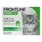 FRONTLINE COMBO SPOT ON Kat, 6 st