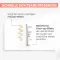AVENE Hyaluron Activ B3 drievoudige corr.oogverzorging, 15 ml