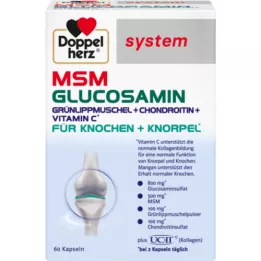 DOPPELHERZ MSM Glucosamine systeemcapsules, 60 stuks