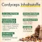 GREEN NATURALS Cordyceps sinensis capsules, 180 stuks