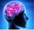 Instructions for use for Neuropep capsules (30 stuks) - 2