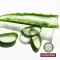 Plantana Aloe Vera Care Douchebad met Biologische Aloë Vera, 500 ml