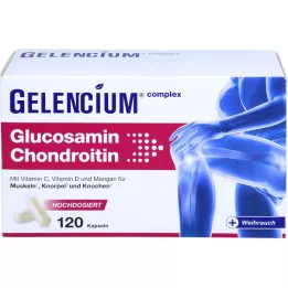 GELENCIUM Glucosamine Chondroïtine hooggedoseerd Vit C Kps, 120 st