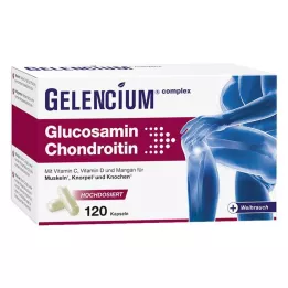 GELENCIUM Glucosamine Chondroïtine hooggedoseerd Vit C Kps, 120 st
