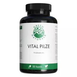 GREEN NATURALS Vitale Paddenstoelen Cordyceps Reishi veganistisch, 180 stuks